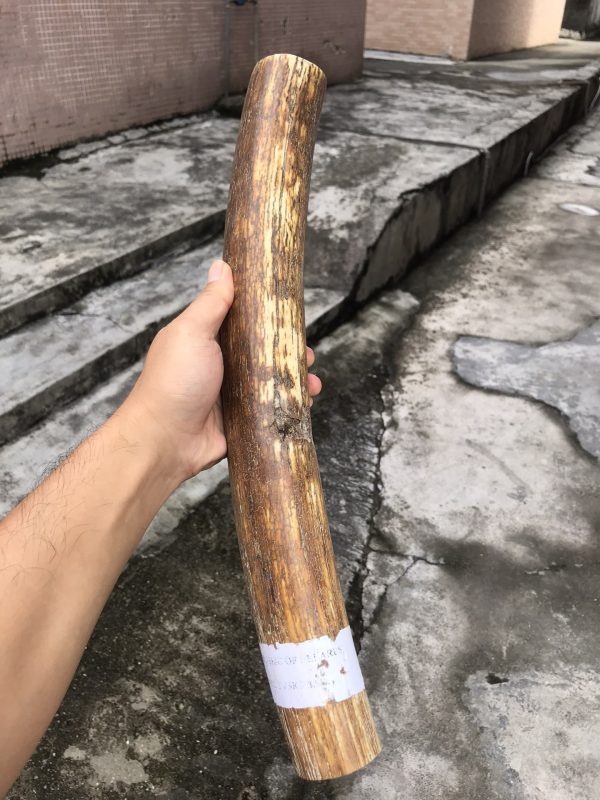 猛犸象牙原材料中段料牙摆 - 图片 2