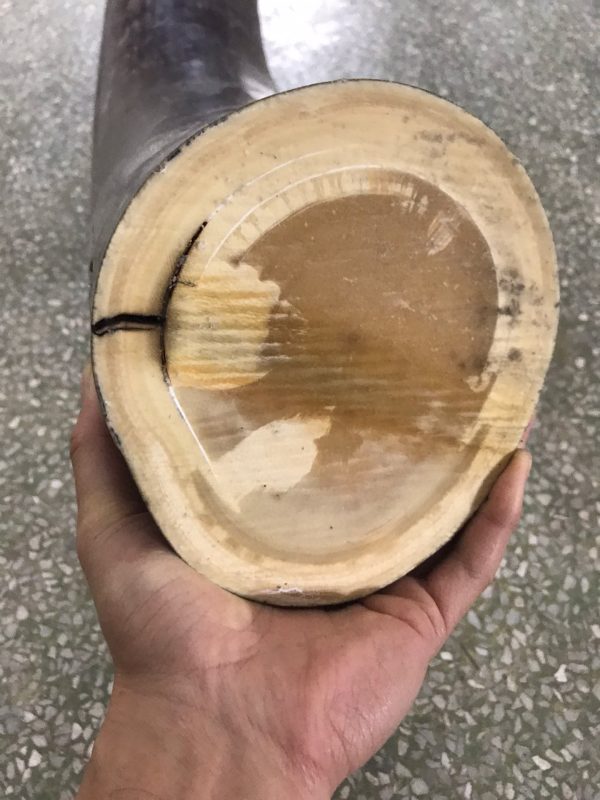 猛犸象牙中断原材料 - 图片 2