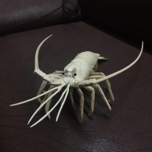 猛犸象牙雕刻大龙虾摆件