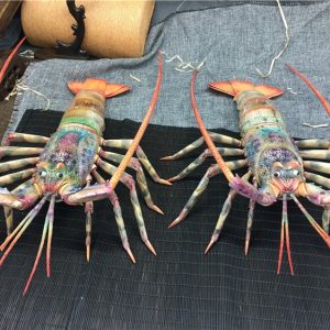 猛犸象牙龙虾雕件摆件