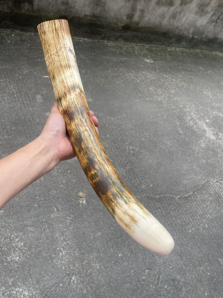 猛犸象牙摆件黄金皮原牙摆件-天成之美，镇宅之宝