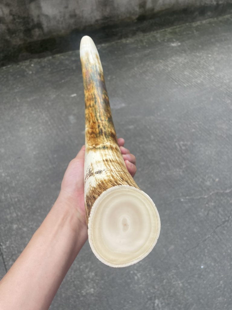 猛犸象牙摆件黄金皮原牙摆件-天成之美，镇宅之宝