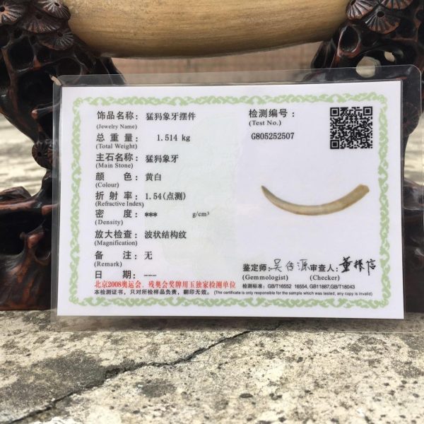 猛犸象牙乳牙摆小牙摆天然无修补猛犸象牙原料 - 图片 2