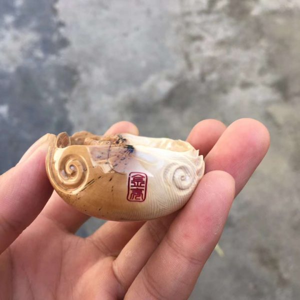 王金亮大师猛犸象牙双色材料一念之间挂牌子 - 图片 3