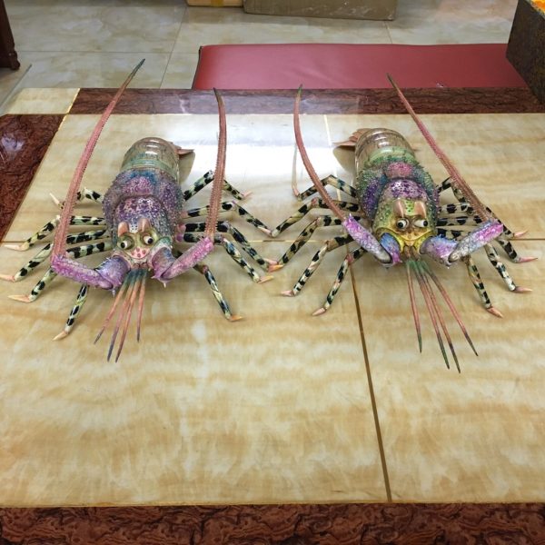 猛犸象牙龙虾摆件猛犸牙彩绘雕刻龙虾雕刻件 - 图片 4