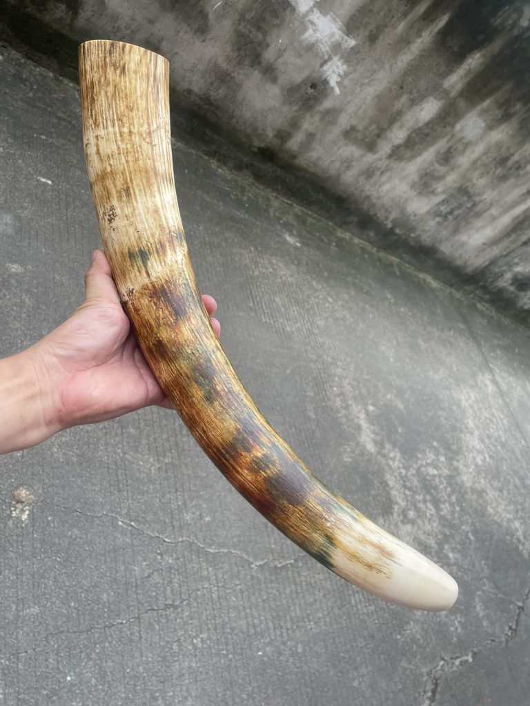 猛犸象牙摆件黄金皮原牙摆件-天成之美，镇宅之宝